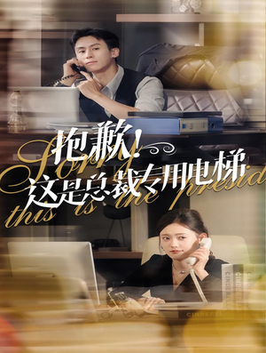 抱歉!这是总裁专用电梯(60集) 抱歉!这是总裁专用电梯(60集)演员表