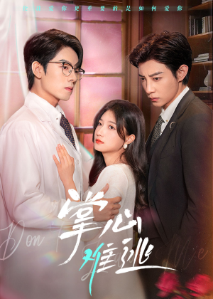 掌心难逃(63集) 掌心难逃(63集)在线播放