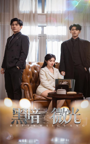 黑暗微光（66集）在线看到大结局