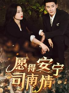 愿得安宁司南情（76集）精彩短剧免费看