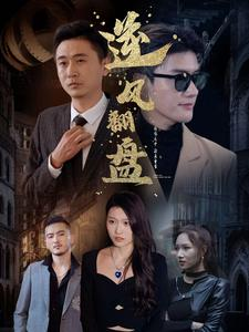 新：逆风翻盘（94集）剧情简介