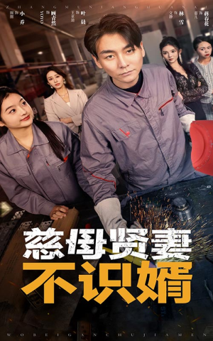 慈母贤妻不识婿（45集）独家内容免费看