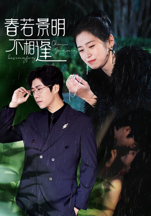 春若景明不相逢（50集）短剧免费看全集