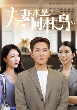 夫妻本是同林鸟（76集）正能量短剧分享