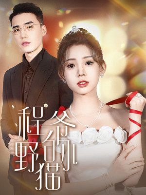 程爷的小野猫（40集）热播短剧排行榜