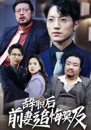 辞职后前妻追悔莫及（30集）番茄免费短剧