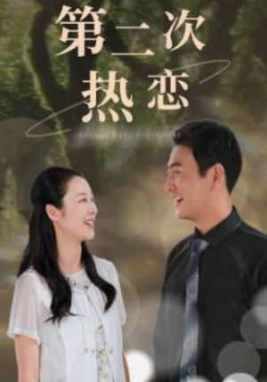 第二次热恋(48集) 第二次热恋(48集)百万短剧抢先看