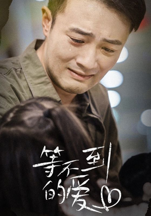 等不到的爱(40集) 等不到的爱(40集)分享好看的短剧