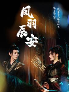 凤羽辰安（100集）360网盘观看
