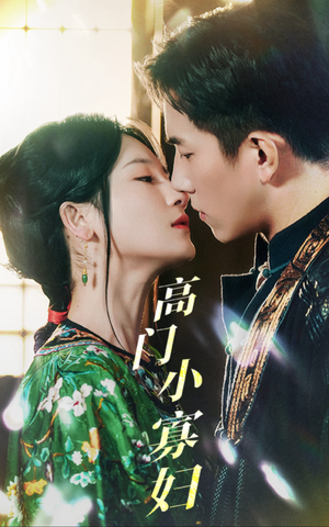 高门小寡妇（60集）全集