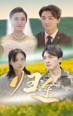 归途（52集）热播短剧全集看