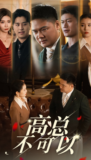 高总不可以（45集）短剧免费观看