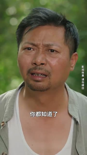 大夏荣耀（74集）免费短剧看全集