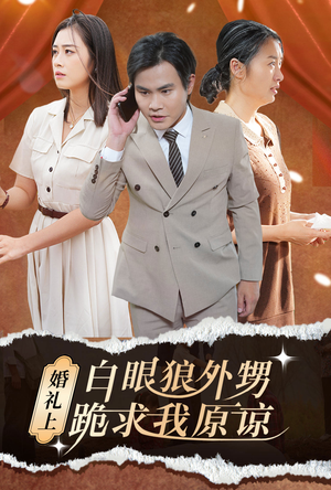 婚礼上白眼狼外甥跪求我原谅(35集) 婚礼上白眼狼外甥跪求我原谅(35集)在哪个app能看