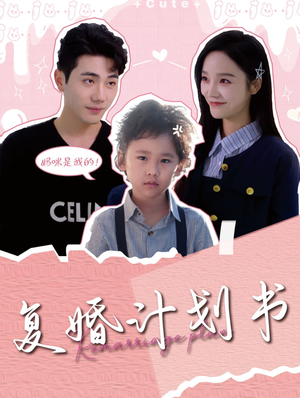 复婚计划书（96集）短剧免费分享