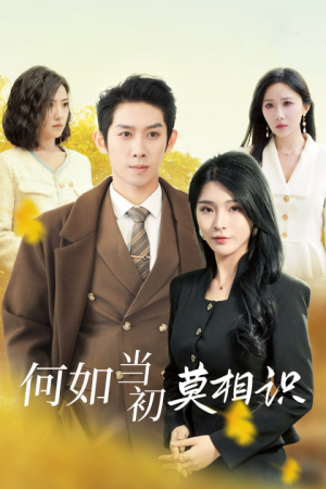 何如当初莫相识（36集）精彩连连免费看