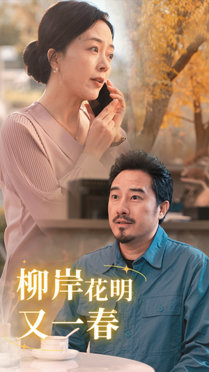 柳暗花明又一春(40集) 柳暗花明又一春(40集)全季一次看完