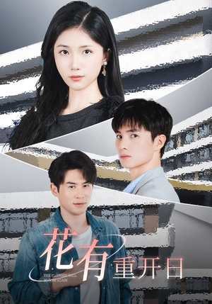 花有重开日(41集) 花有重开日(41集)独家资源免费看