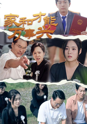 家和才能万事兴（30集）分享好看短剧