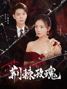 荆棘玫瑰（100集）全集一网打尽