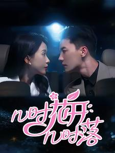 几时花开几时落（66集）好看上头短剧