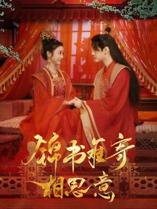 锦书难寄相思意（97集）好看的短剧来了