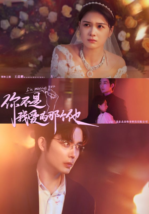 你不是我爱的那个他（54集）海量资源免费看