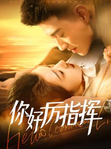 你好厉指挥（100集）精彩的网络短剧