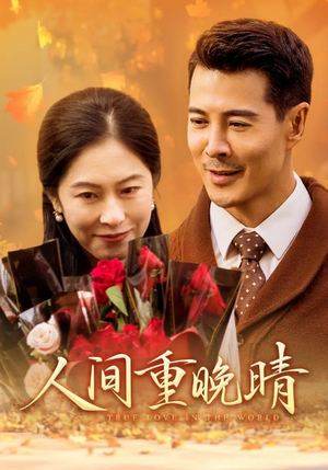 人间重晚情（38集）完整版