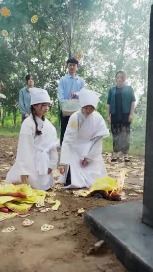 年年岁岁又今朝（44集）在哪个平台看好