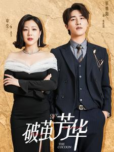 破茧芳华(80集) 破茧芳华(80集)番茄短剧免费看