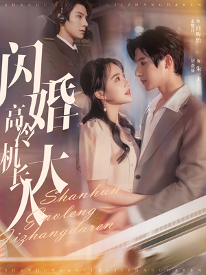 机长先生，听我指挥（92集）免费短剧合集