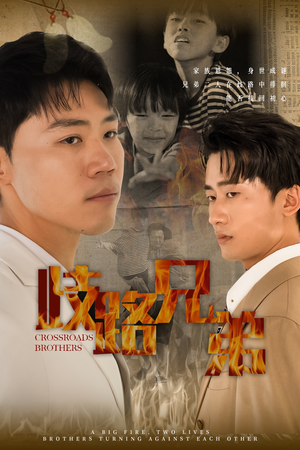 歧路兄弟(63集) 歧路兄弟(63集)西瓜短剧免费看