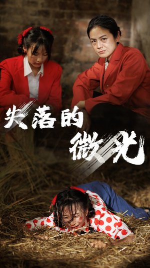 失落的微光(60集) 失落的微光(60集)短剧介绍