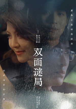 双面谜局（44集）真的好看吗