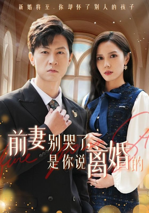 前妻别哭了，是你说离婚的（42集）看到了大结局