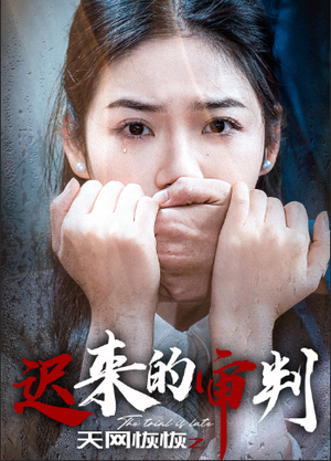 天网恢恢之迟来的审判(31集) 天网恢恢之迟来的审判(31集)在哪里可以看