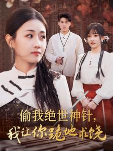 偷我绝世神针,我让你跪地求饶(30集) 偷我绝世神针,我让你跪地求饶(30集)全集下载