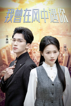 我曾在风中遇你（30集）热门短剧免费看