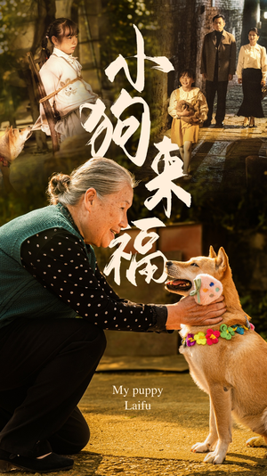 小狗来福（30集）海量资源免费看