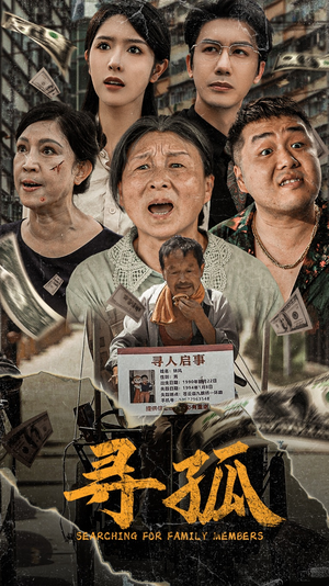 寻孤（78集）火爆短剧推荐