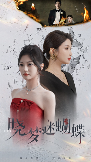 晓梦迷蝴蝶（76集）在线免费观影