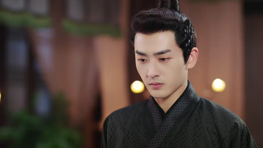 小女不听将军令（24集）迅雷网盘观看