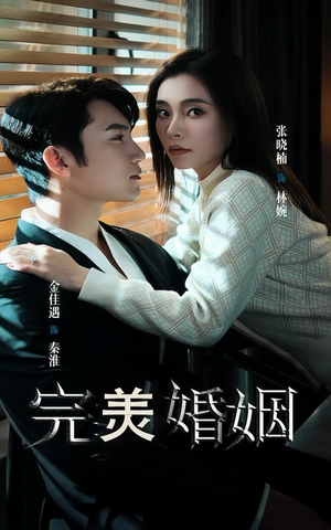 完美婚姻(65集) 完美婚姻(65集)在哪个平台看