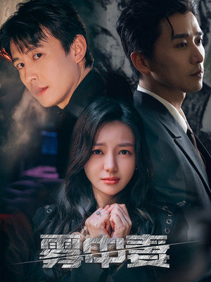 雾中妻(52集) 雾中妻(52集)大结局一气呵成