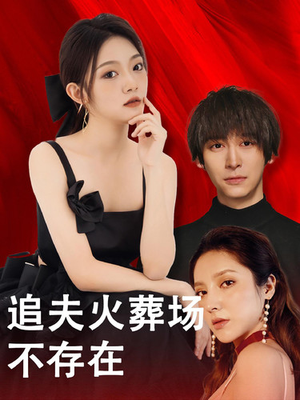 追夫火葬场不存在(100集) 追夫火葬场不存在(100集)全集完整版