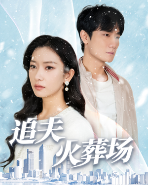追夫火葬场(31集) 追夫火葬场(31集)最火短剧推荐
