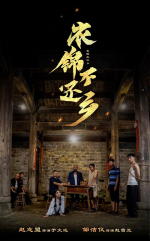 衣锦不还乡(69集) 衣锦不还乡(69集)好短剧分享