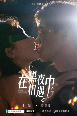 在黑夜中相遇（32集）红果免费短剧