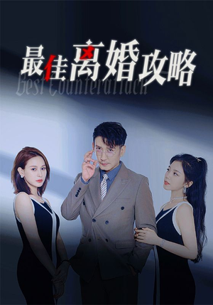 最佳离婚攻略（31集）口碑爆棚免费看